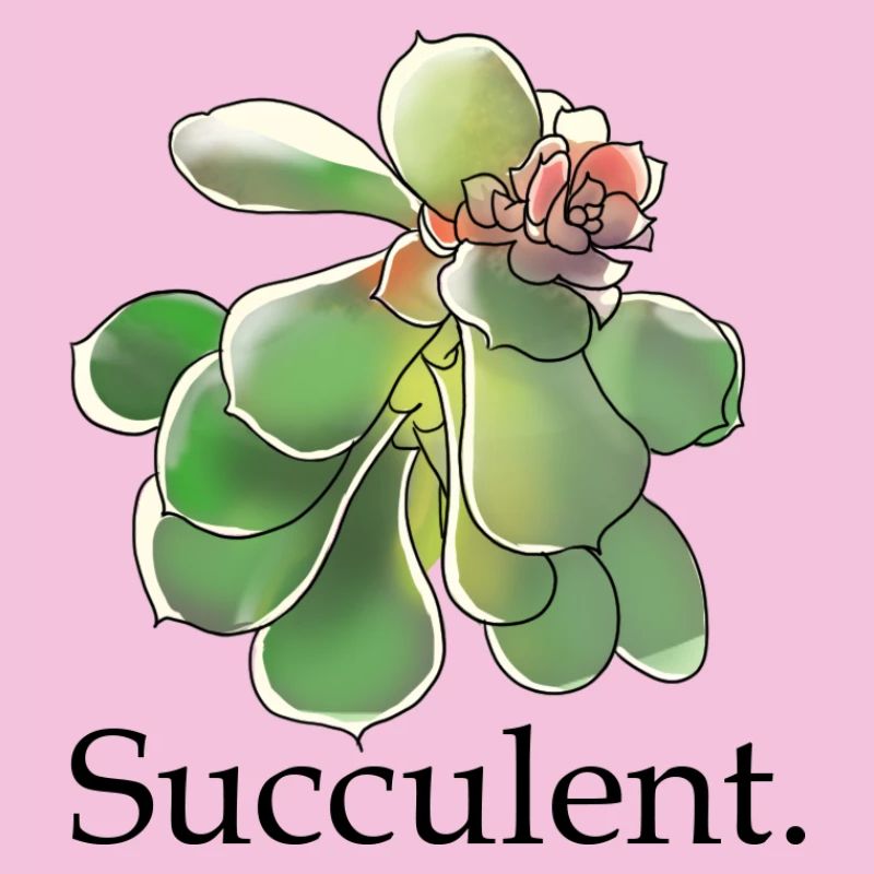 Succulente Fleur Aquarelle