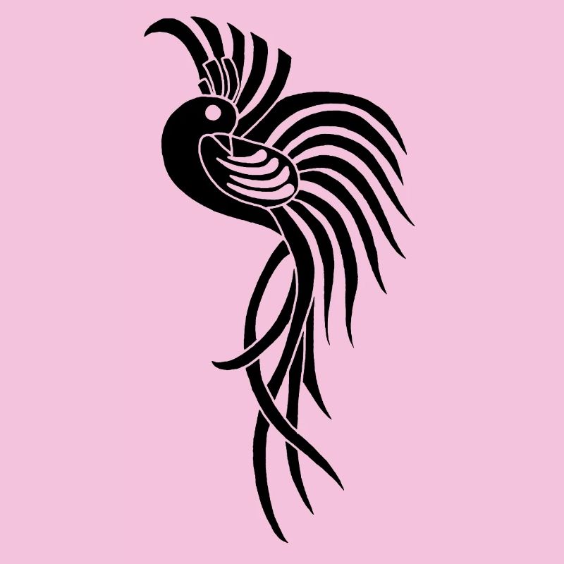 Oiseau du paradis noir