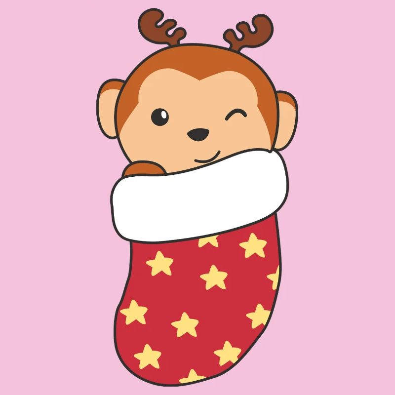 Cute monkey in Christmas sock for Christmas monkey