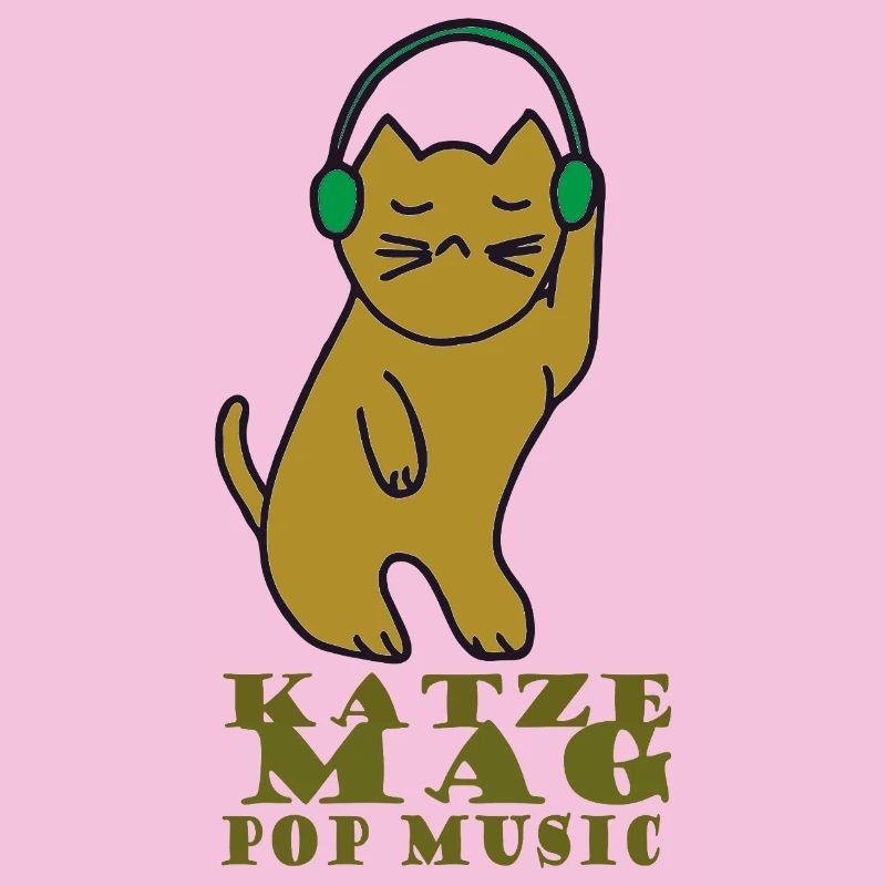 Katze mag pop music
