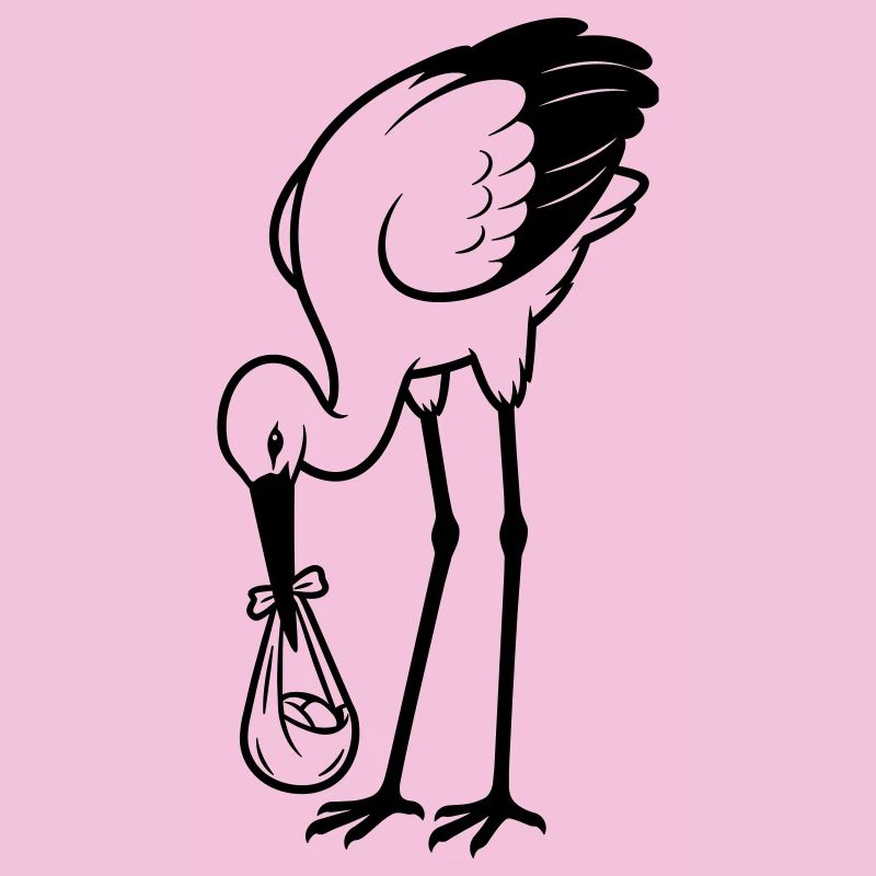 Bébé cigogne