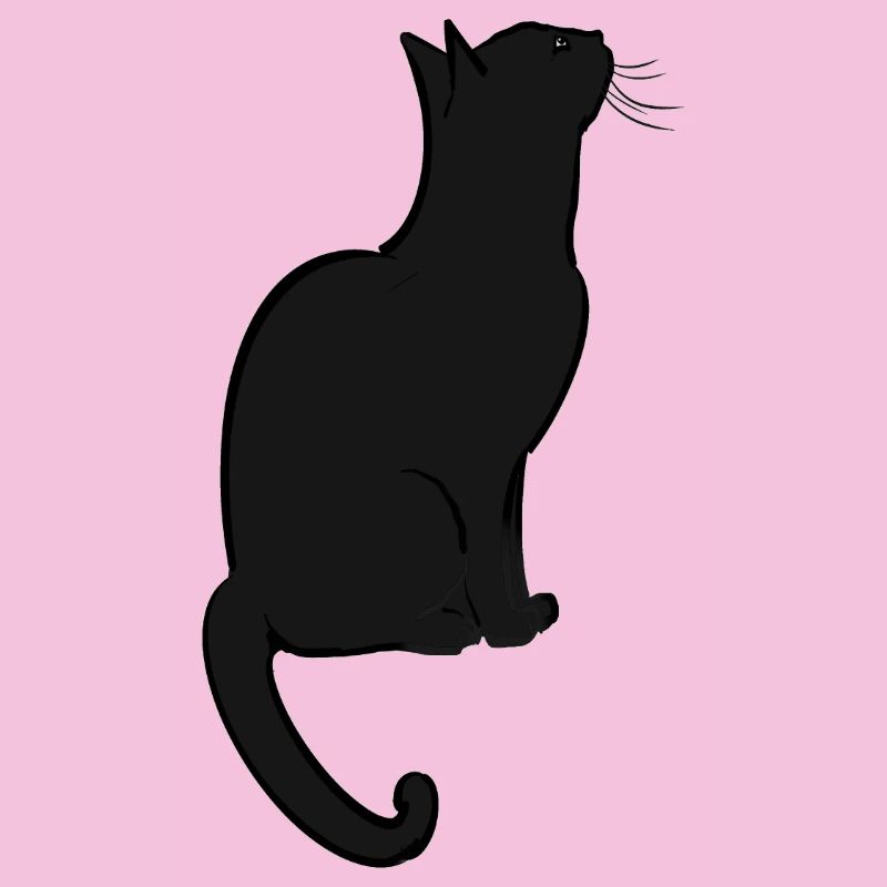 Un chat mignon