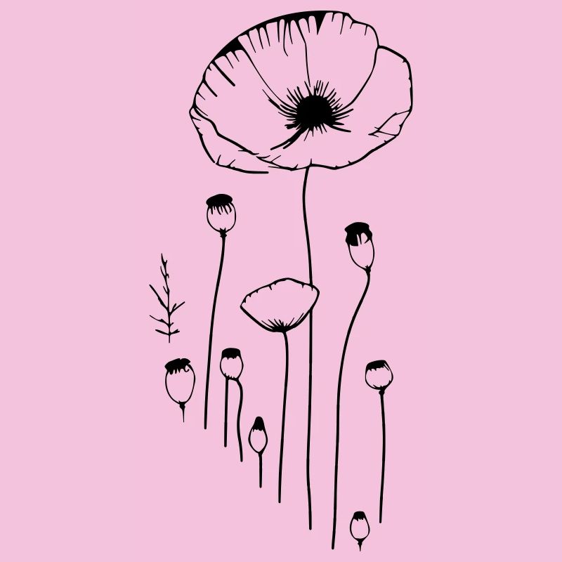 Mohn - Blumen und Kapseln von Schlafmohn