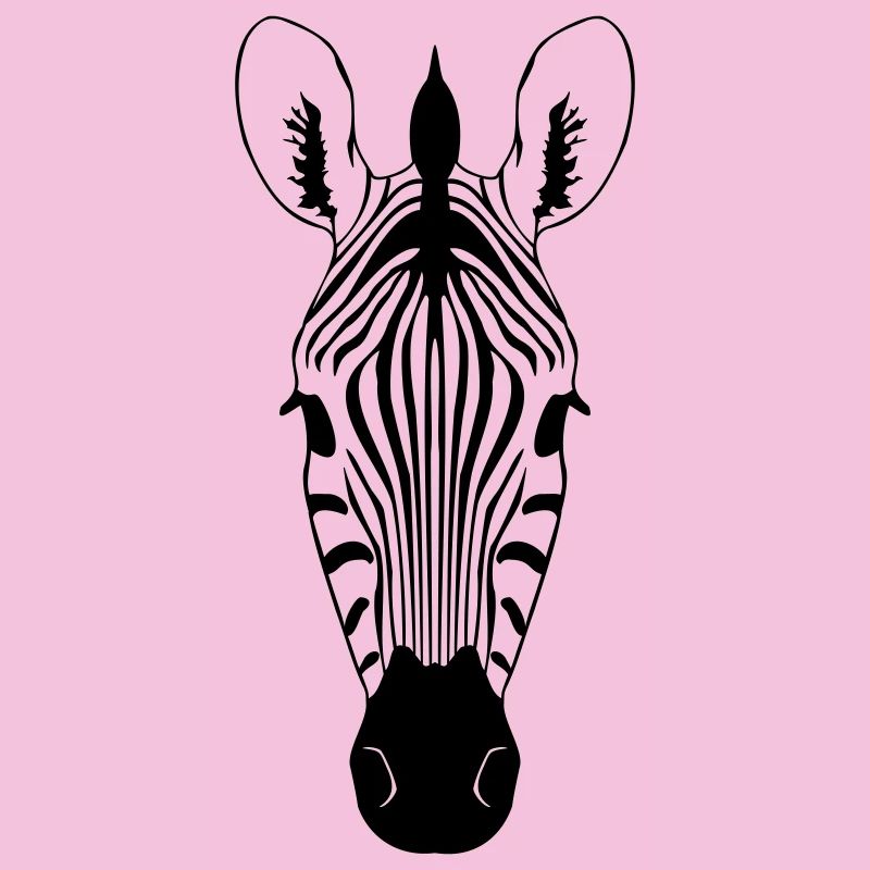 Zebra Illustration