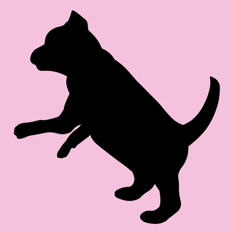 Ludique chiot