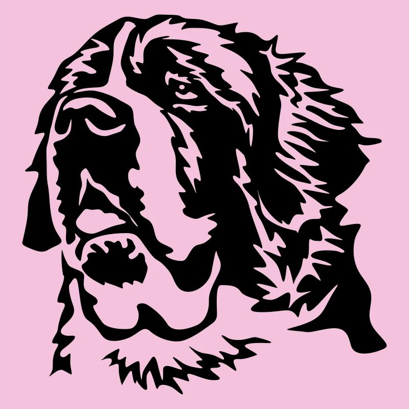 Saint Bernard head
