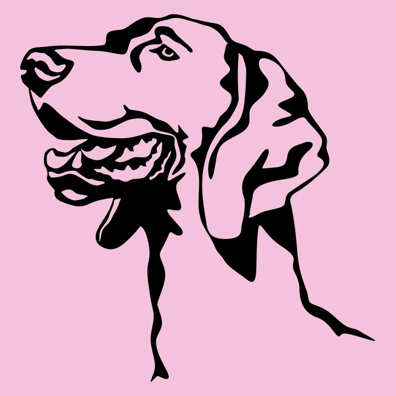 Tête de braque de Weimar