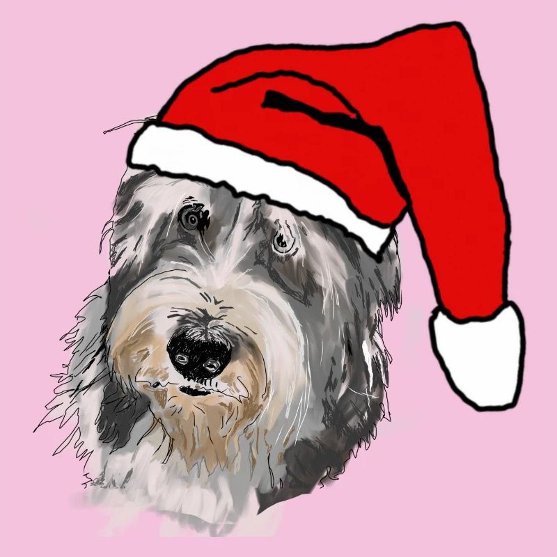Bearded Collie