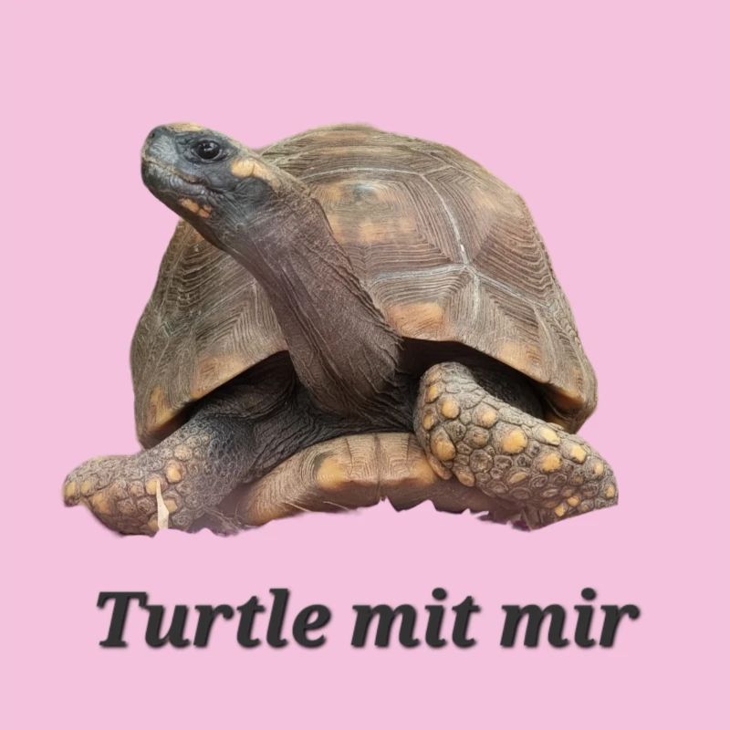 Turtle mit mir
