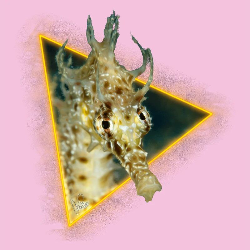 Hippocampe dans un triangle