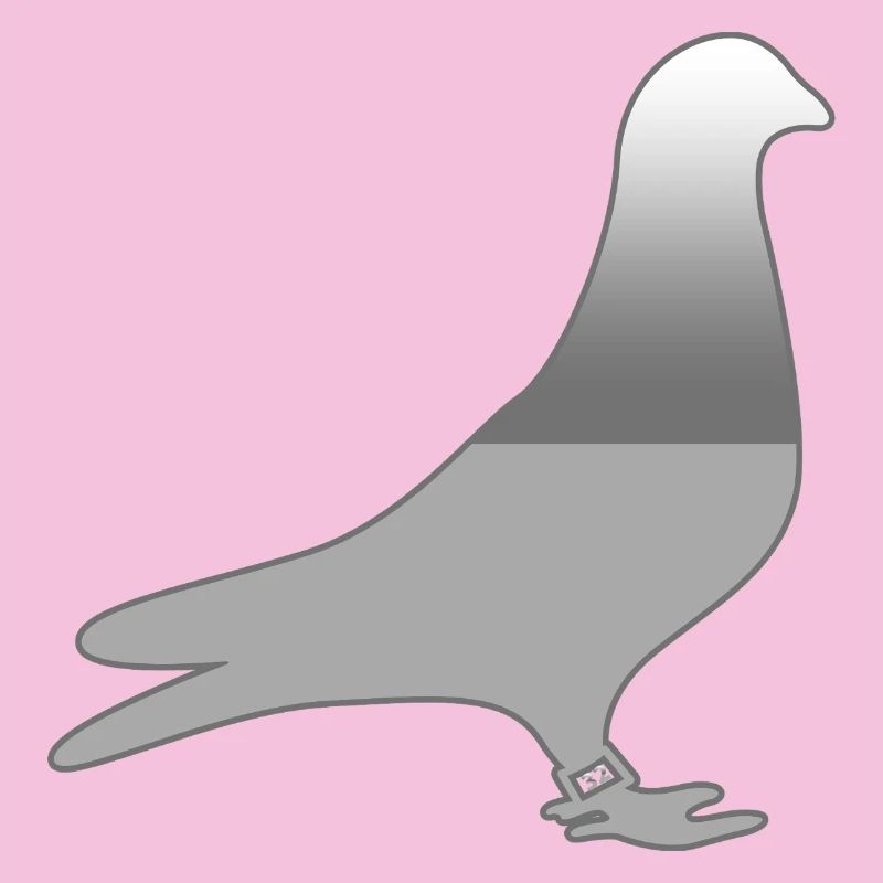 Tauben
