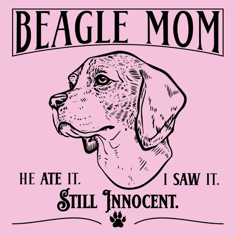 Beagle-Mama – Er hat es gegessen. Immer noch unschuldig.