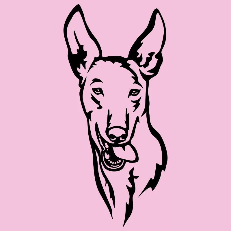 Podenco Head