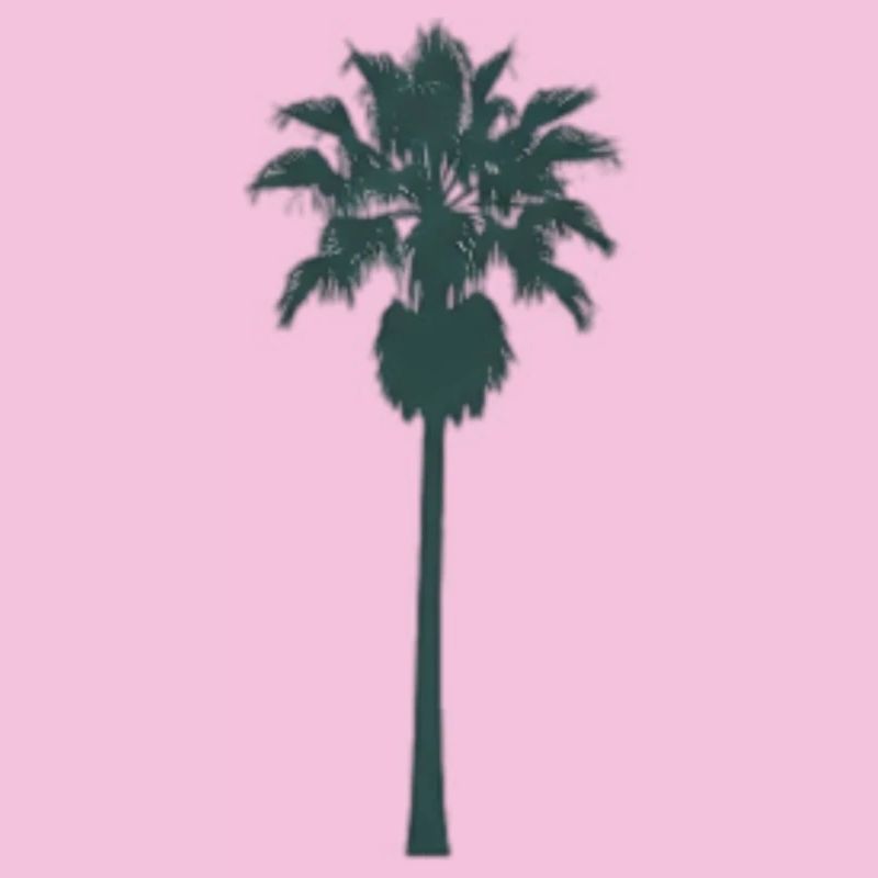 Conception de palmier tropical