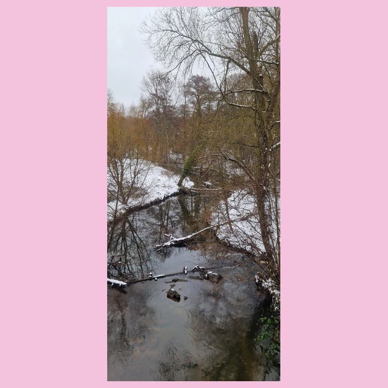 Rivière d’hiver dans le brouillard
