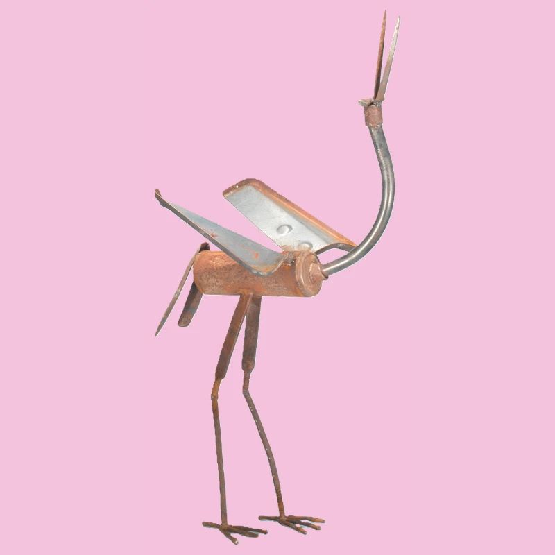 bird