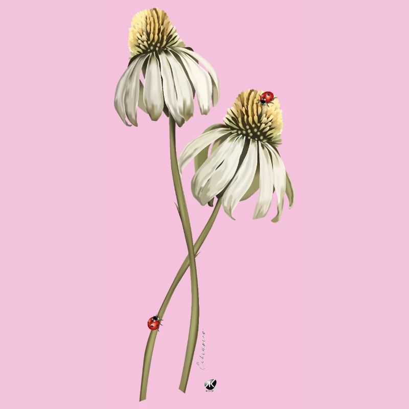 Red ladybugs on echinacea flower illustration
