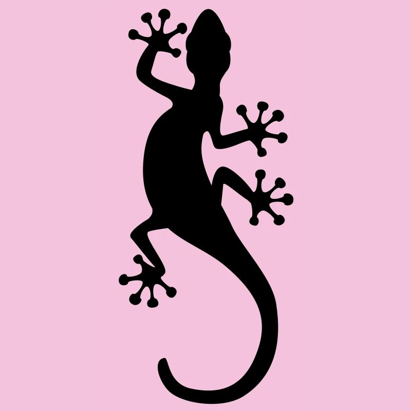 gecko