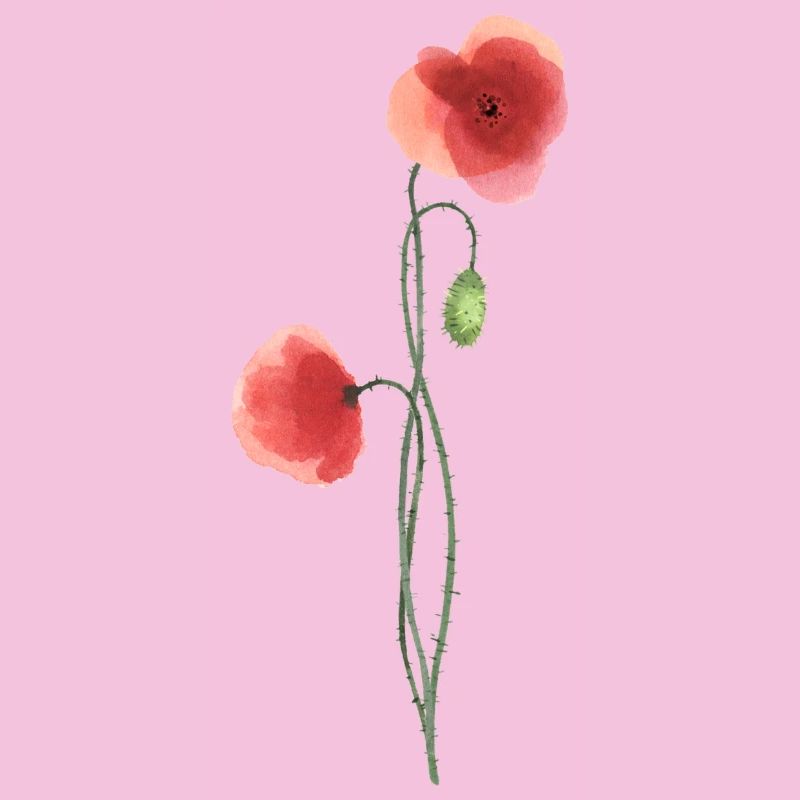 Flower: red poppy