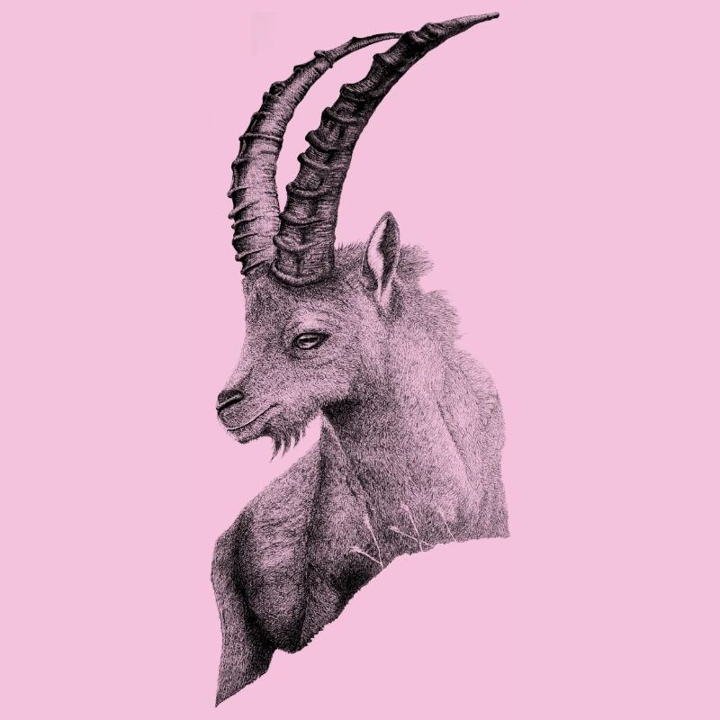 LE CAPRICORNE