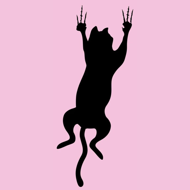 cat scratch