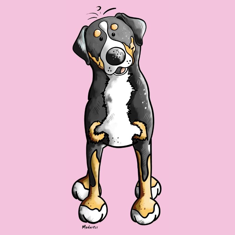 Witziger Schweizer Sennenhund