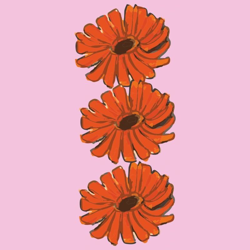 calendula marigold