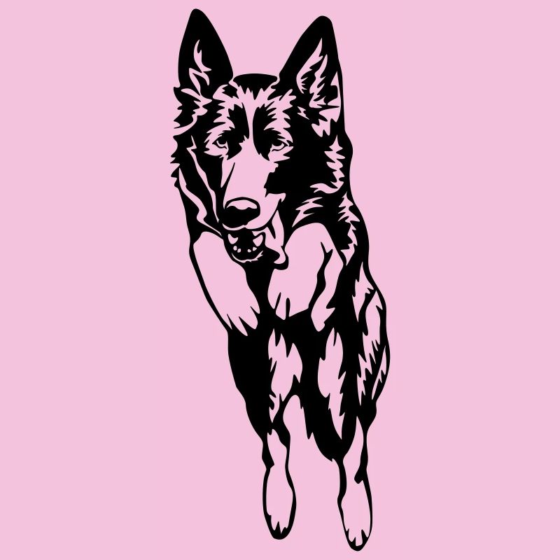 Deutscher Schäferhund
