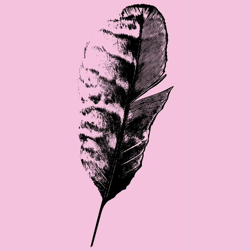 Plume d’écriture
