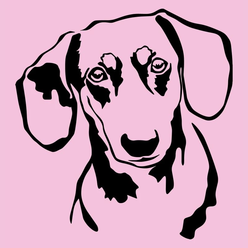 Dachshund head