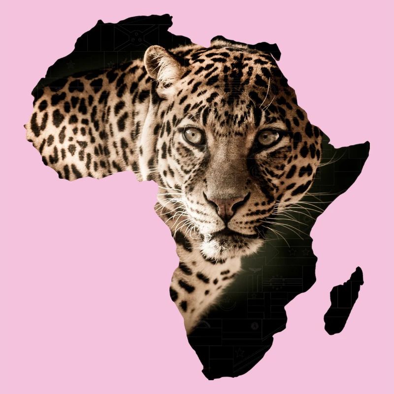africa leopard