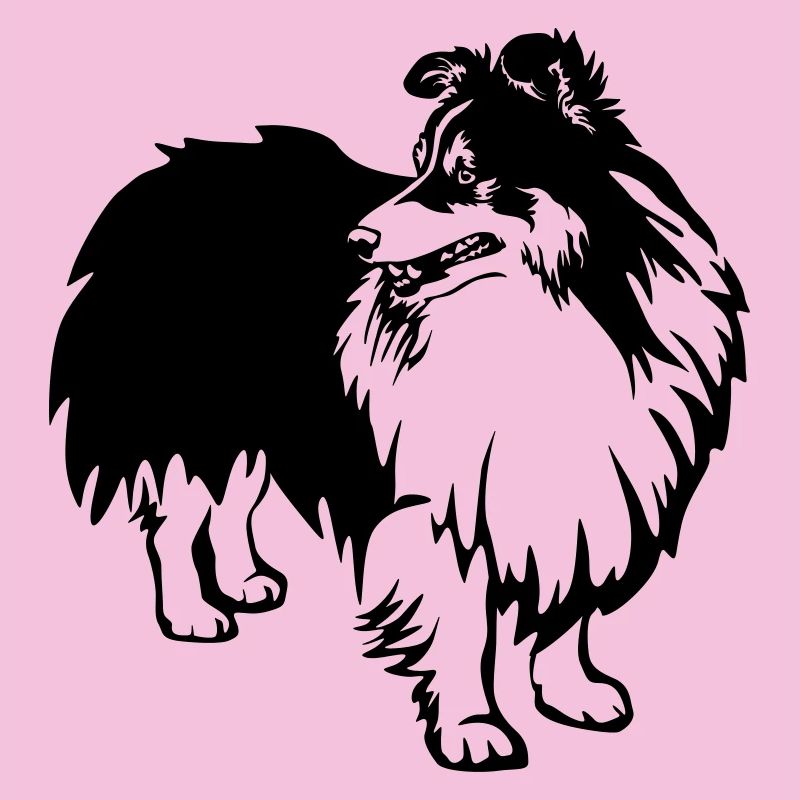 Sheltie