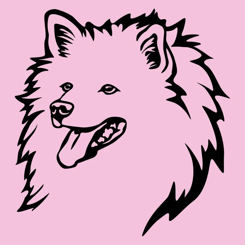 Spitz Kopf