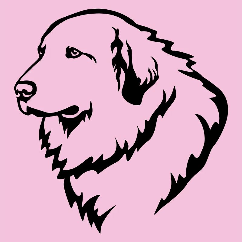 Pyrenean Mountain Dog Head
