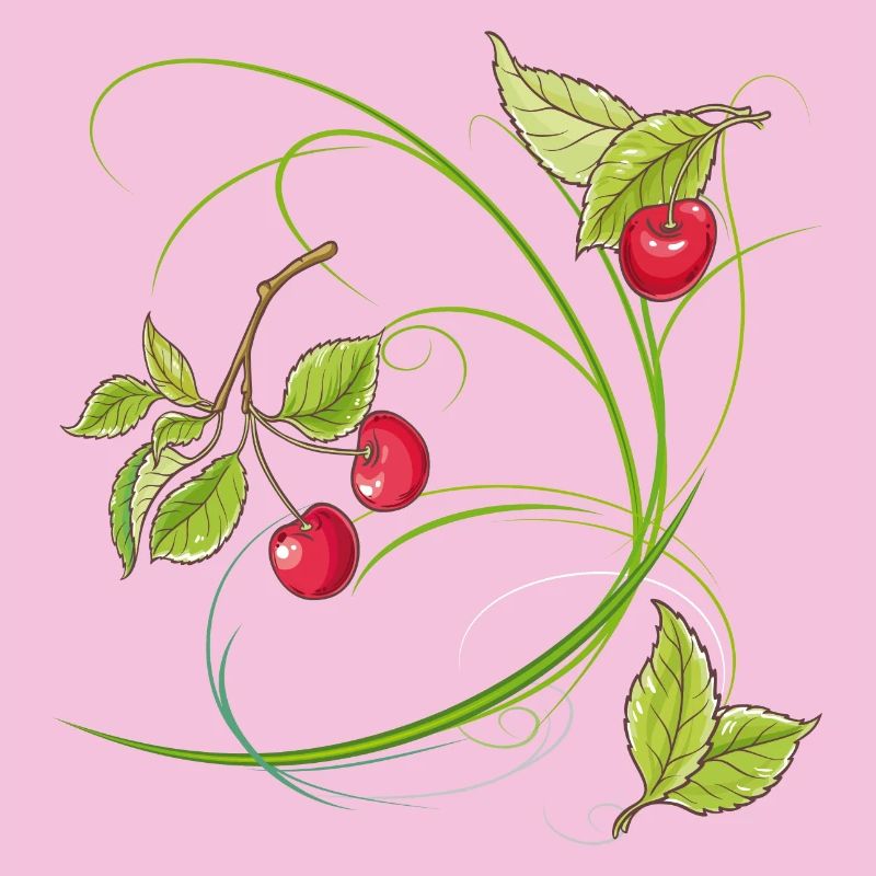 Cherries,Fruit