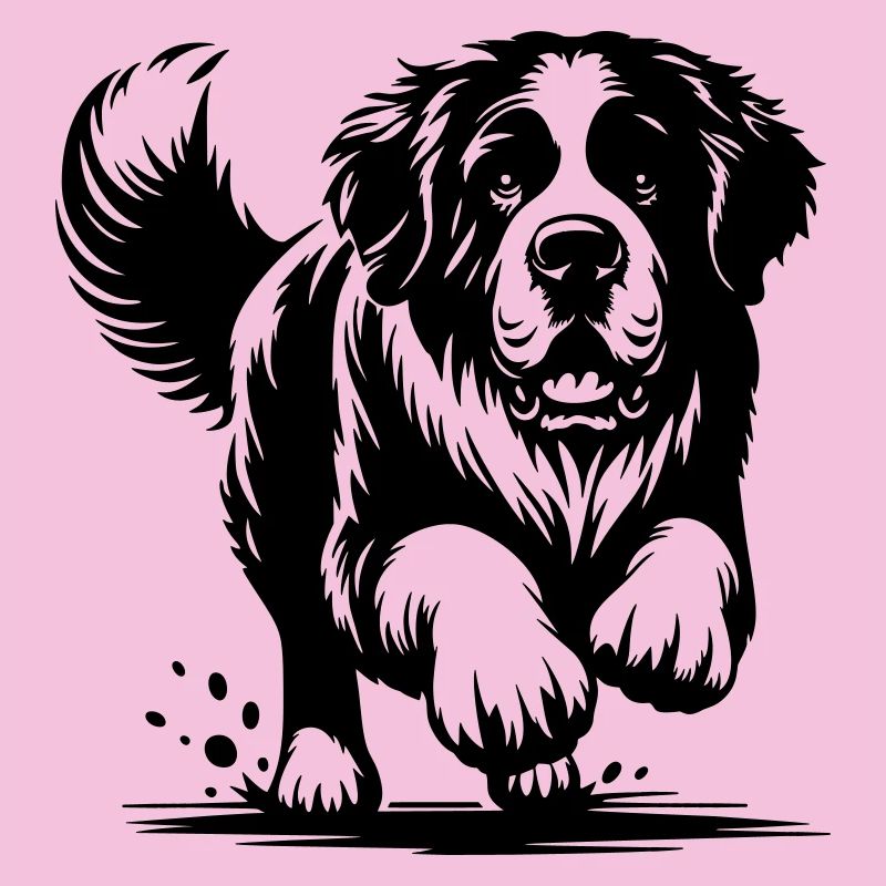 Saint-bernard