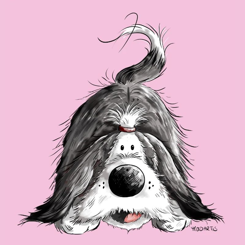 Funny Bearded Collie
