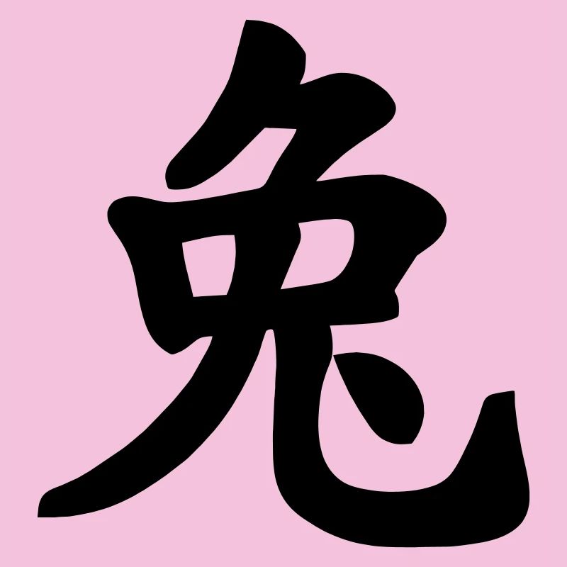 Chinese notebook rabbit shadow image