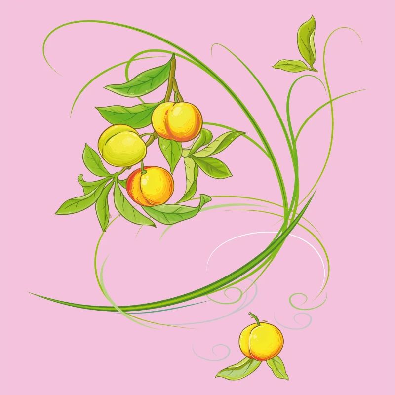 Pfirsiche, Obst