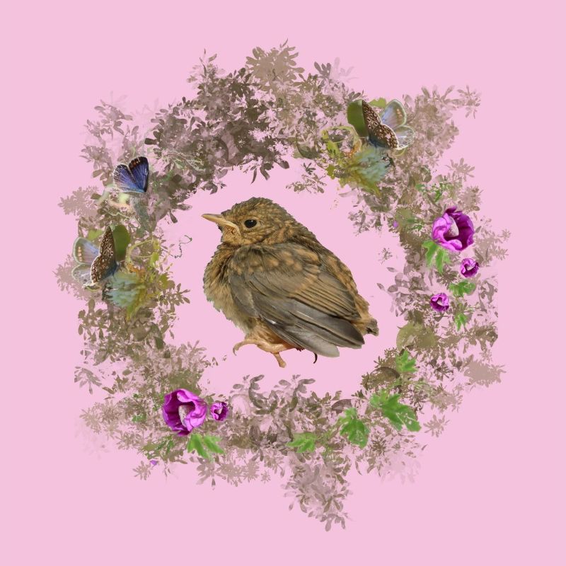 Robin aux fleurs délicates et aux bleus