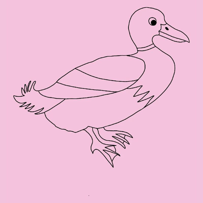 Duck / - Graphique noir et blanc