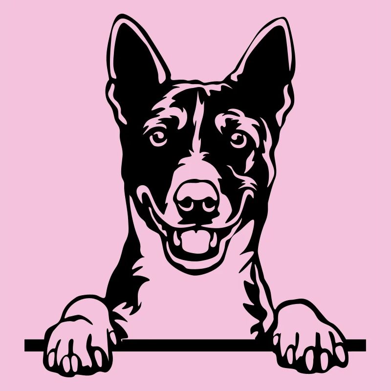 Chef Basenji