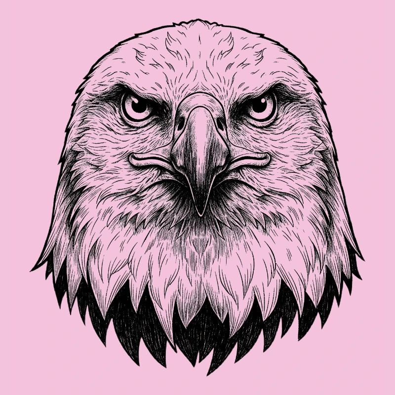 Aigle