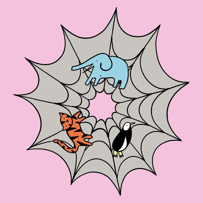 Spinnennetz 