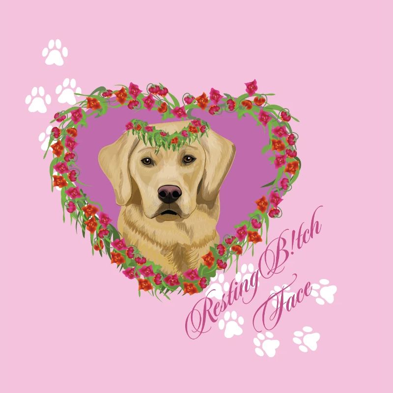 Schlafender Labrador im Gesicht