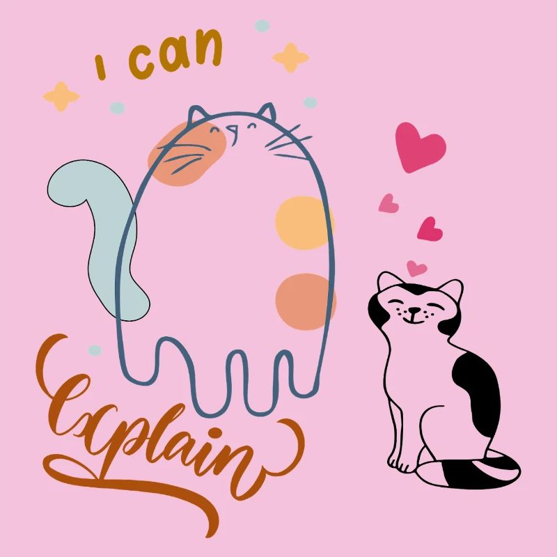 I can explain