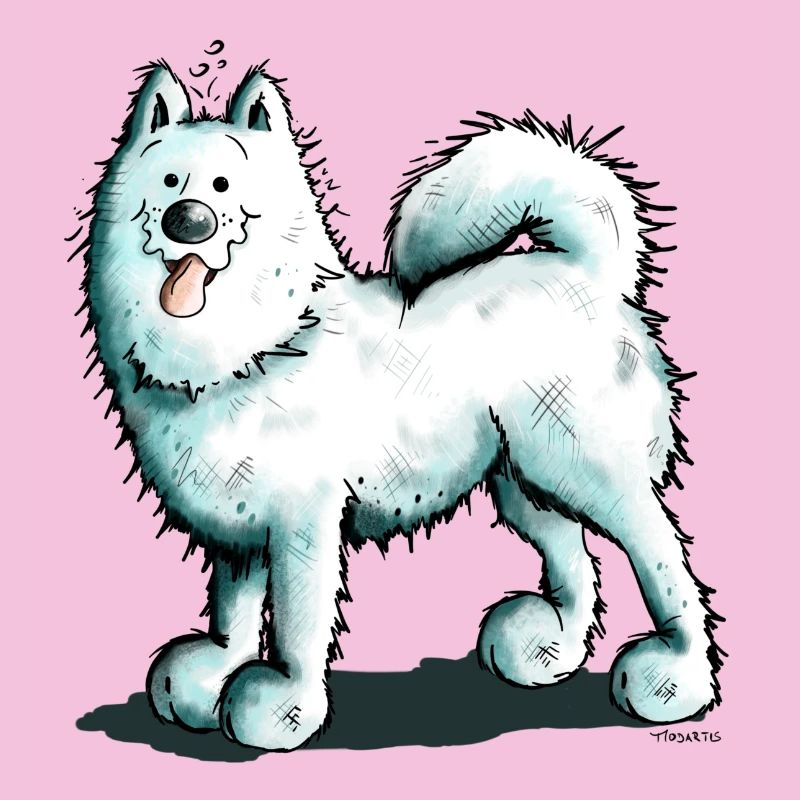 Sammy Samoyed - Samoyède