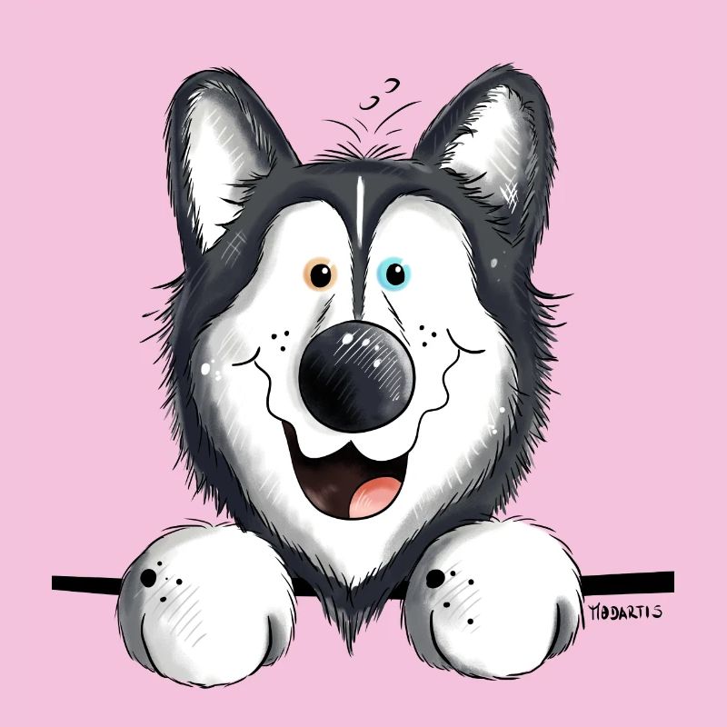 Neugieriger Husky