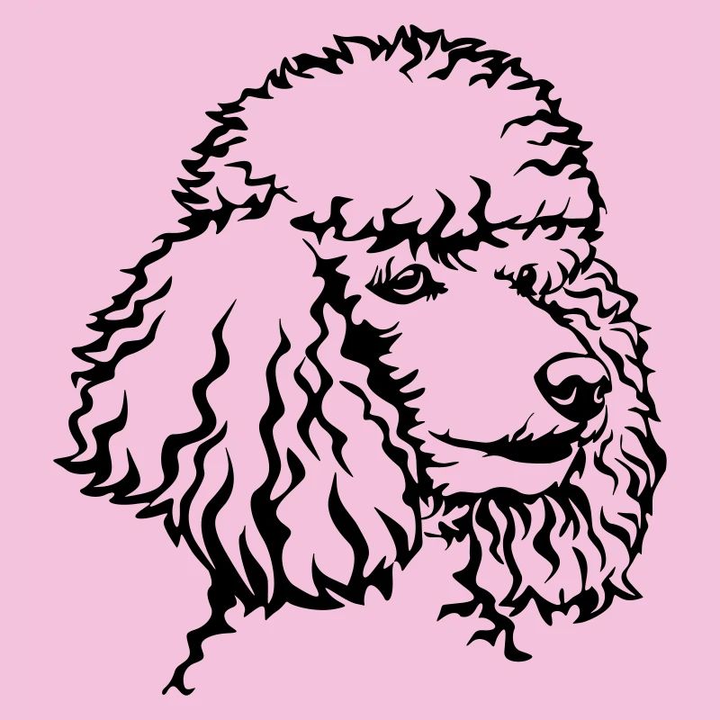 Tête de puiche