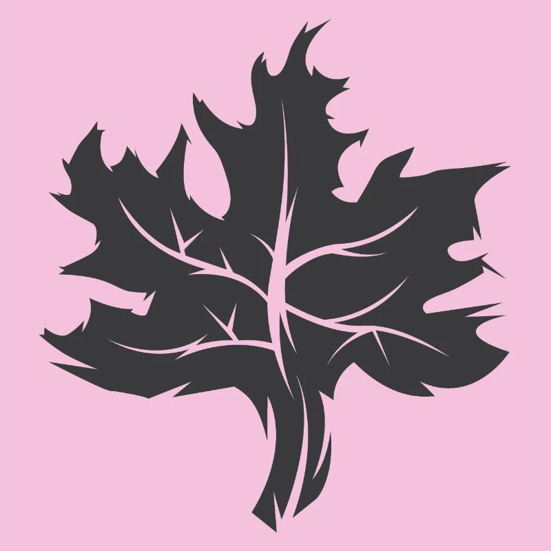 Maple Leaf Illustration Nature Forest Icône graphique